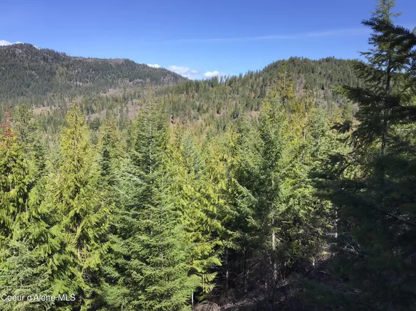 Nka Elmira Rd, Sandpoint, ID 83864