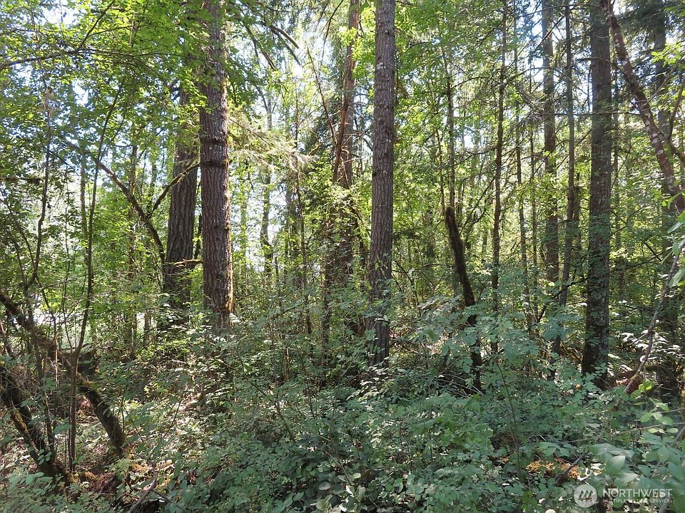 1st image of 115 Campground Lane