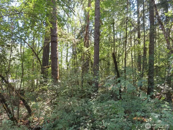 115 Campground Lane, Winlock, WA 98596