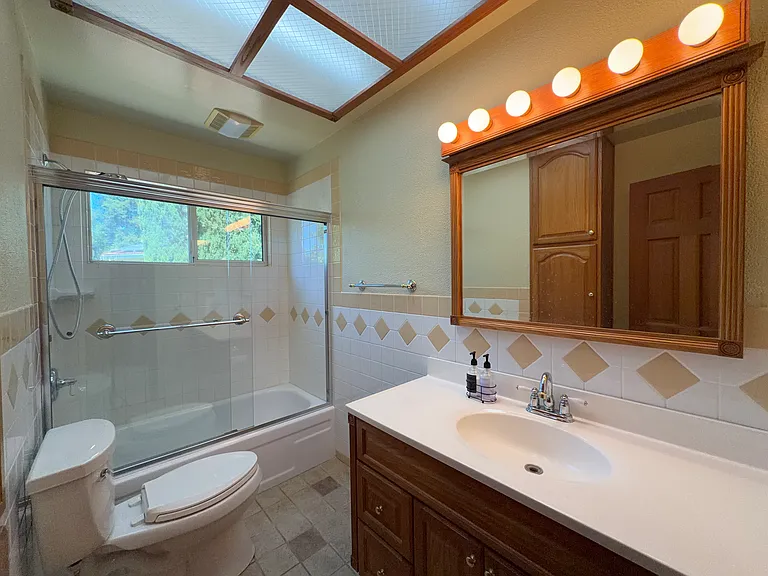 Full tub with skylight overhead and window in the shower