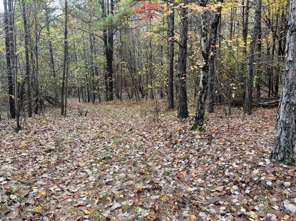 Byler Rd, Haleyville, AL 35565