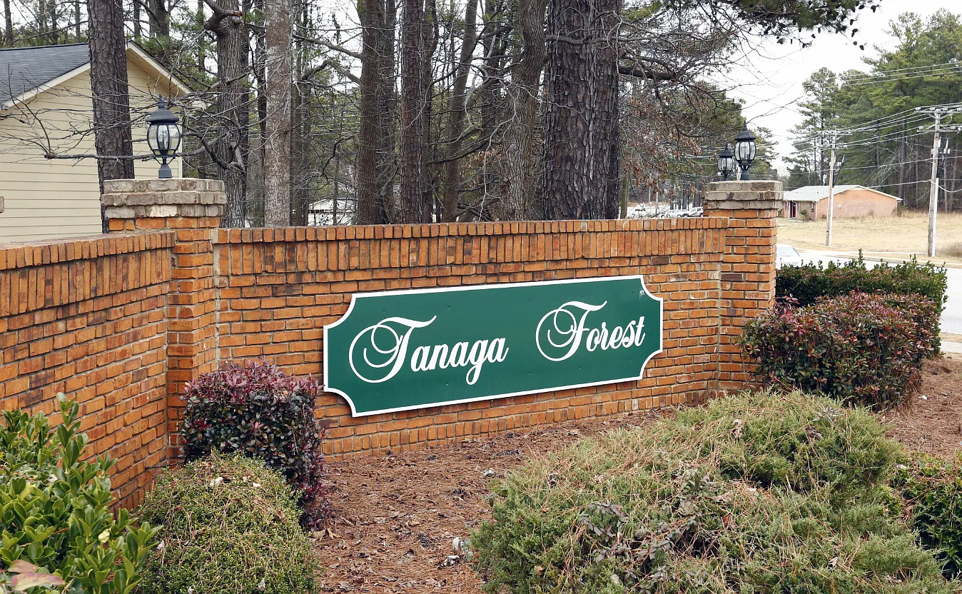 Tanaga Forest — Photo 2