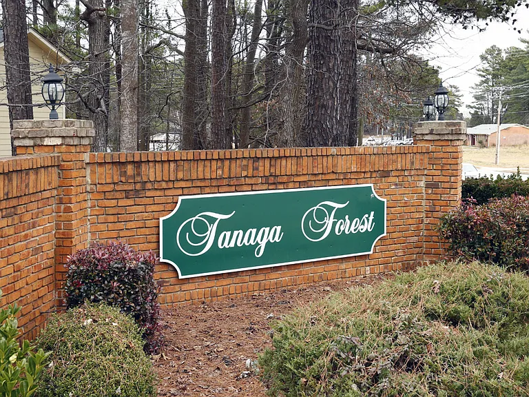 Tanaga Forest — Photo 2