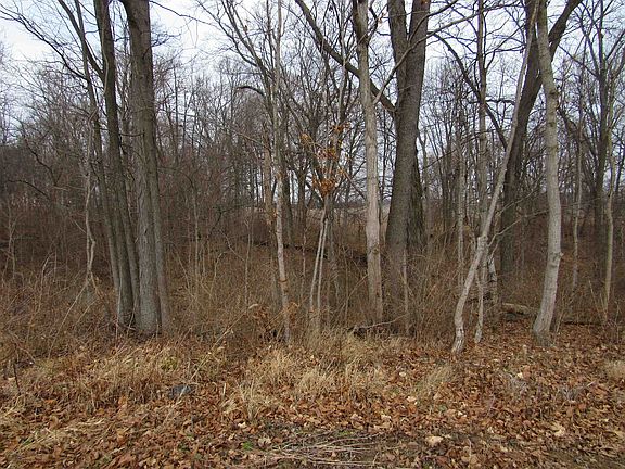 5th image of Old Brownsville Rd