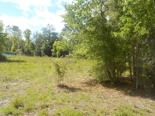 21530 SE 66th St #3, Morriston, FL 32668