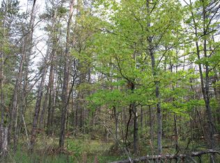 7 E Hughes Lake Rd, Rose City, MI 48654