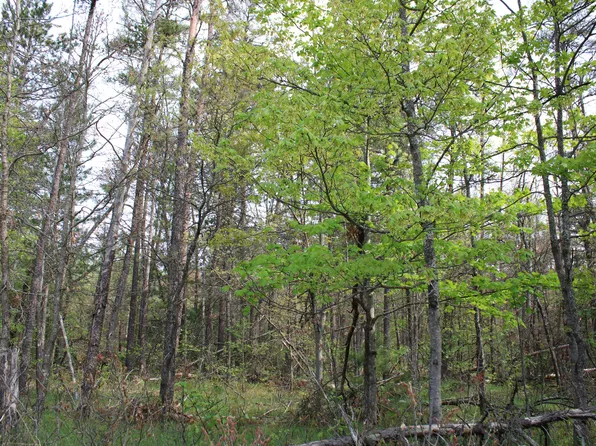 7 E Hughes Lake Rd, Rose City, MI 48654