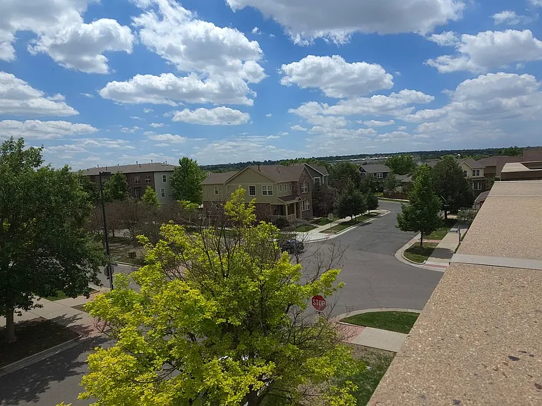 11853 Bradburn Blvd — Photo 21