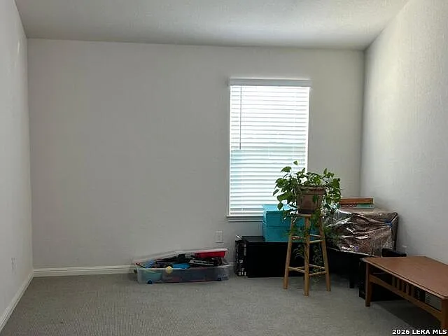 12907 Irvin Path — Photo 19