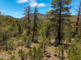 34 County Road 2279 #34, Nutrioso, AZ 85932