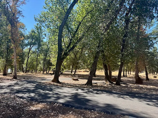 1900 Meadowbrook Dr — Photo 19