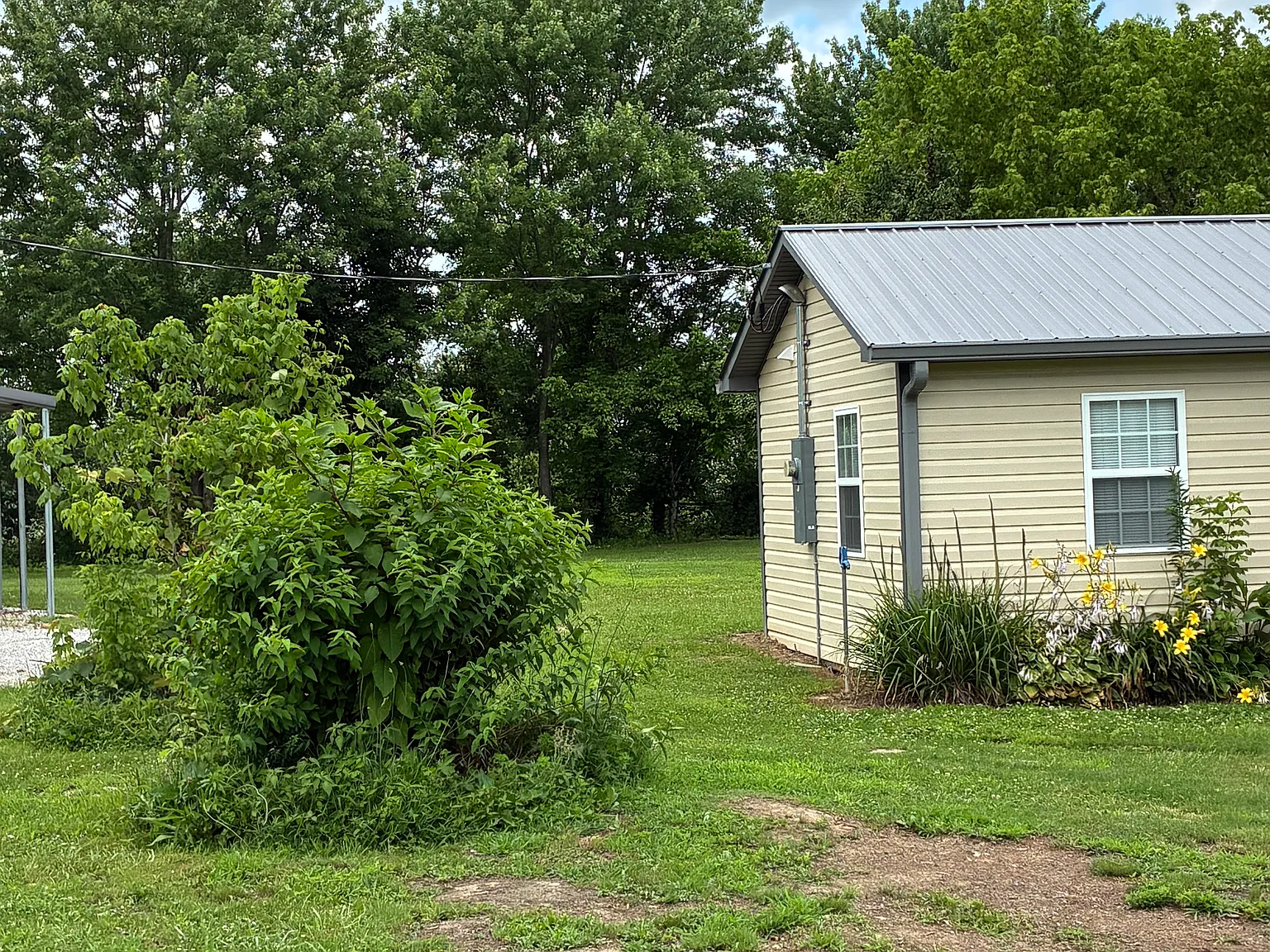 1 bed, 750 sqft, $1,000 — Photo 4