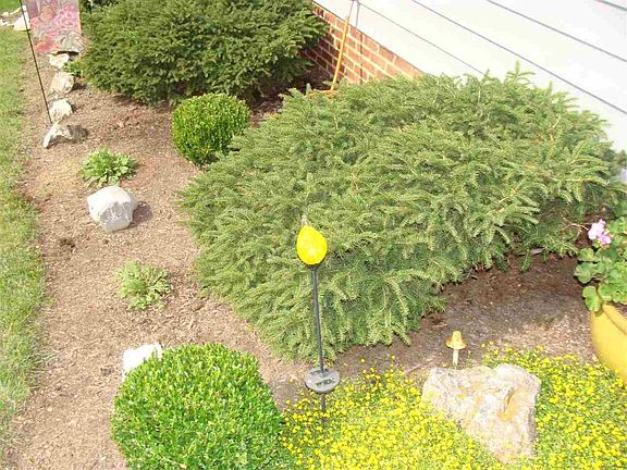 5th image of 3146 Pin Oak Dr