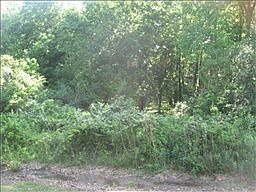2nd image of 204 Gatewood Dr