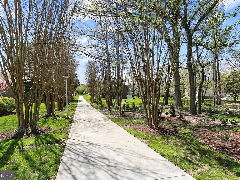 2921 N Leisure World Blvd #1114 — Photo 36
