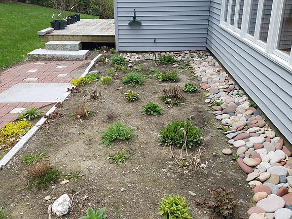 Gardens are coming up!