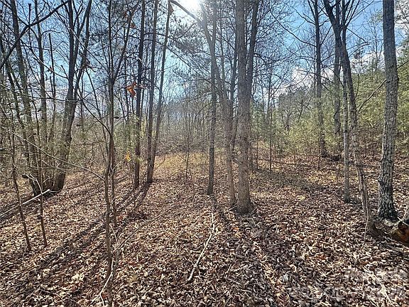 4th image of Amberwood Pl #17