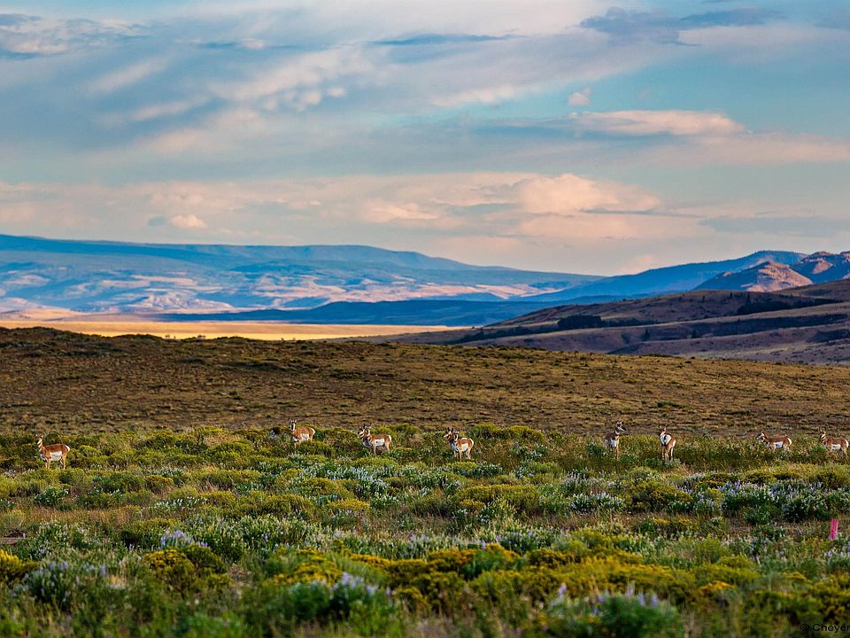 1st image of Township Road 107 Wild Horse Rnch