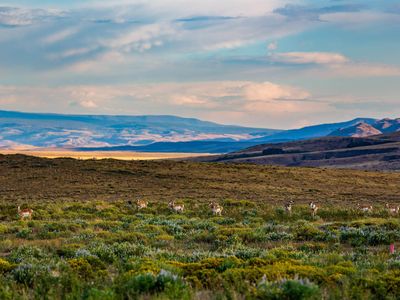 Township Road 107 Wild Horse Rnch, Laramie, WY, 82070