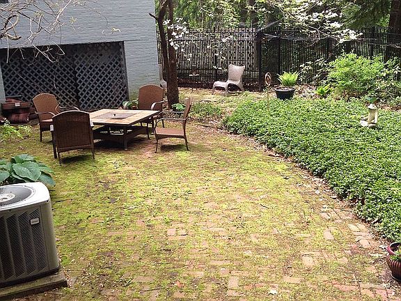 Low maintenance backyard