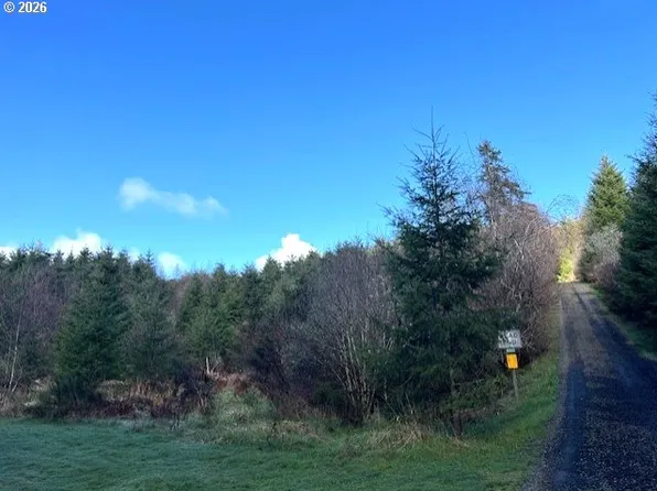 NW Wilcox Dr, Timber, OR 97144