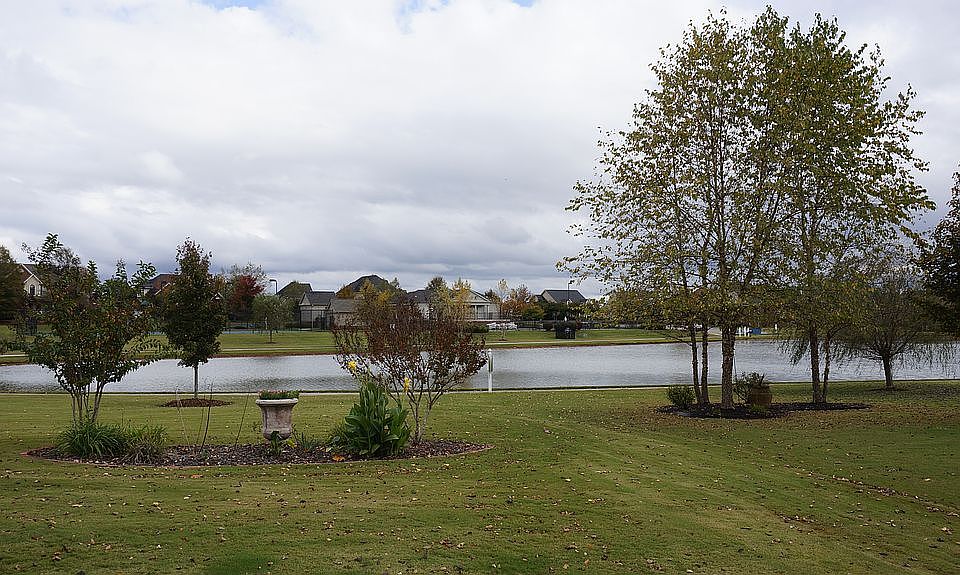 View of Lake From Backyard