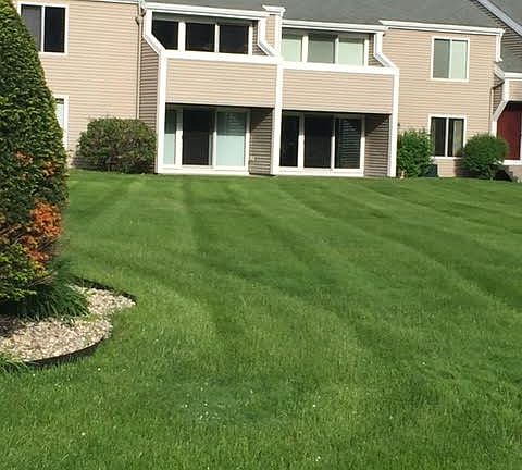 Back Lawn View