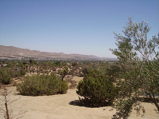 Panoramic view w/ city lights