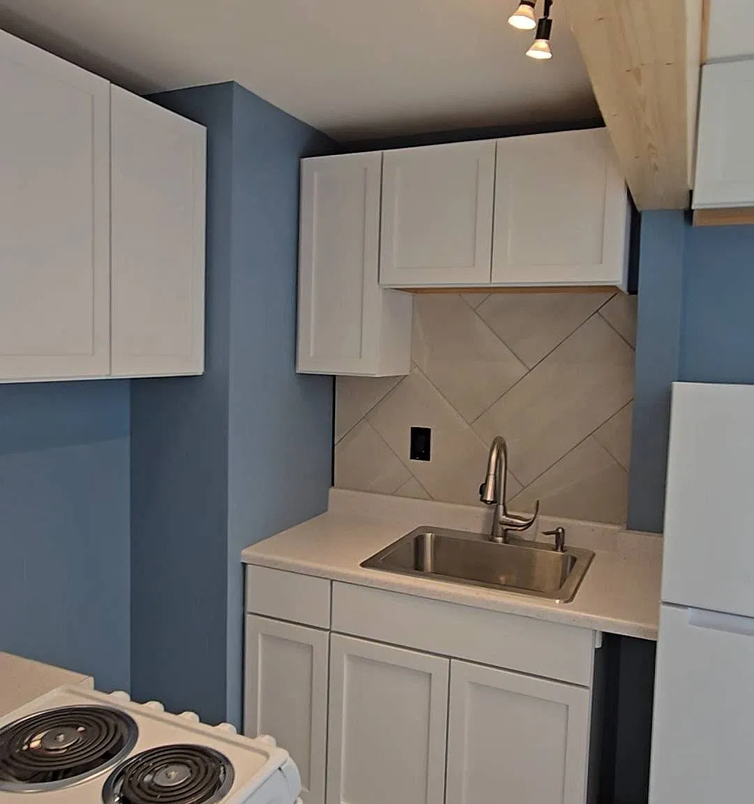 Studio, 315 sqft, $1,195 — Photo 3