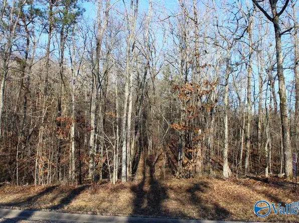 Na Raintree Dr, Centre, AL 35960