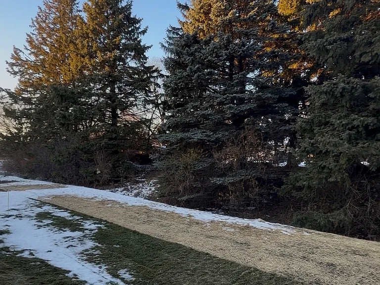 646 Cassia Ct — Photo 9