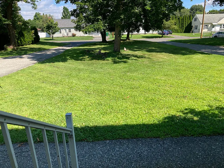 Front yard