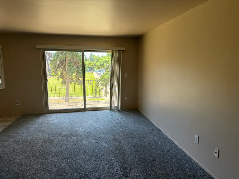 439 Riviera Dr — Photo 19