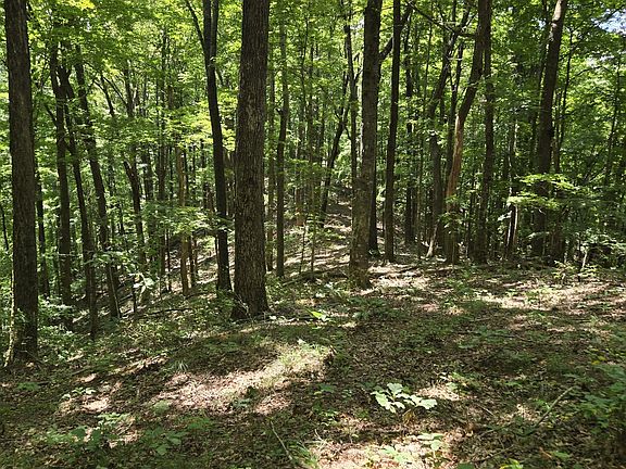 4th image of 16 Seals Hollow Rd