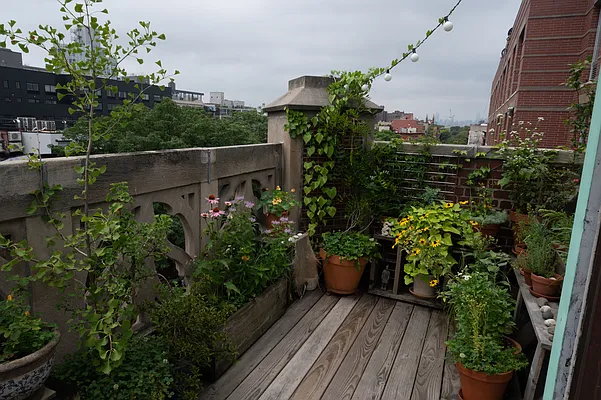 Rented by Compass | media 63