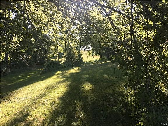 Back of property