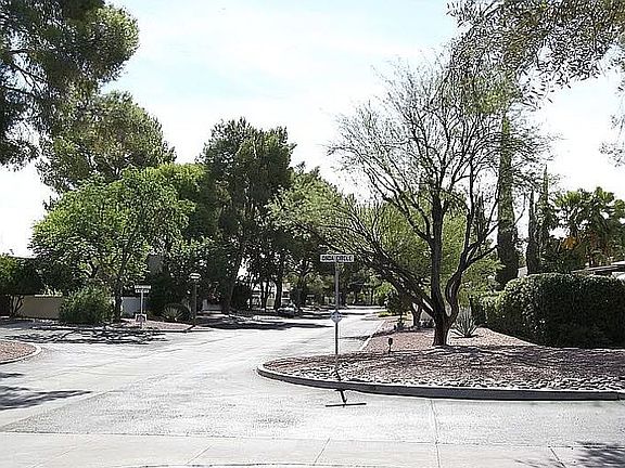 Tree Lined Streets