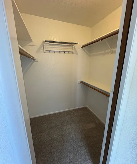 264 E Scheibe Way — Photo 15
