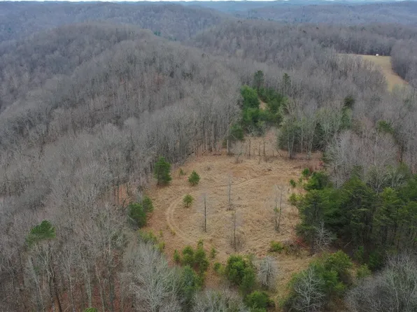 2 Barnes Run Rd, Arnoldsburg, WV 25234