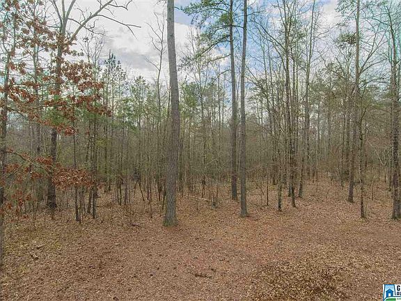 4th image of 107 Creekside Cir
