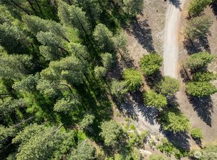 6 Mazama Meadows Ln, Mazama, WA 98833