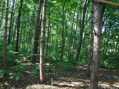 S Poor Farm Rd, Greenbush, MI, 48738
