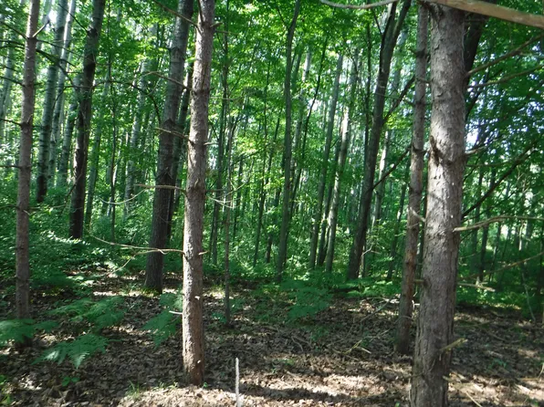 S Poor Farm Rd, Greenbush, MI 48738