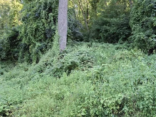 2784 Township Line Rd, Orefield, PA 18069