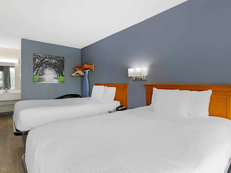 Studio Suite - 2 Full Beds