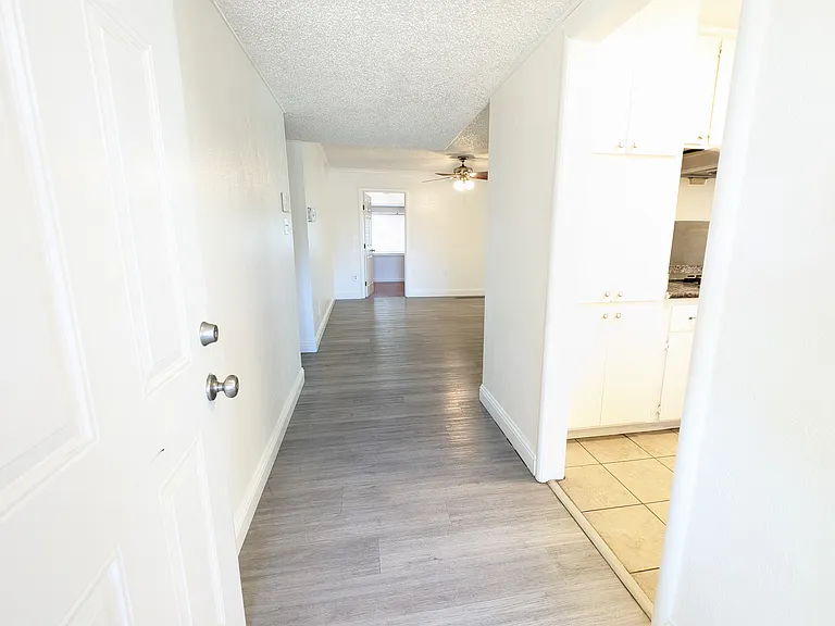 6611 Flamingo Way — Photo 5