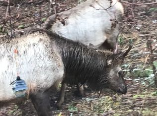 585 Martha Creek Rd, Carson, WA 98610