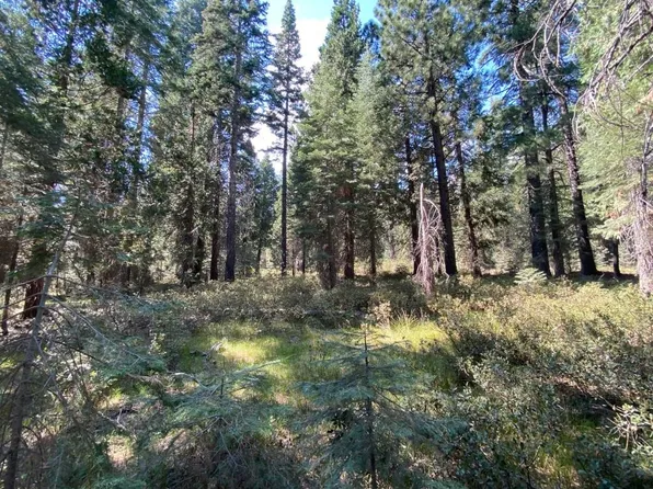 3-I-1 Red Fir Rd, McCloud, CA 96057