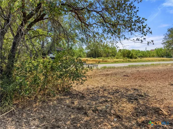 3517 Cactus Trl, Kingsland, TX 78639