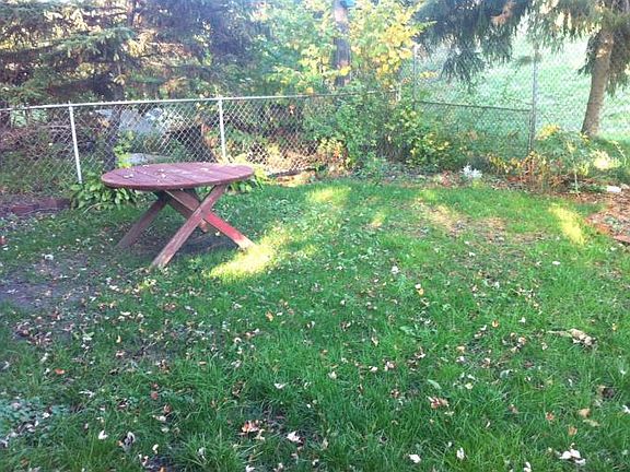 shared back yard